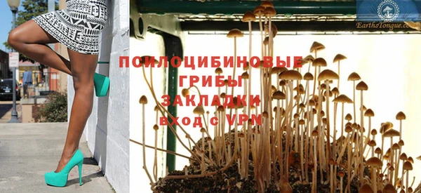 гашик Балабаново
