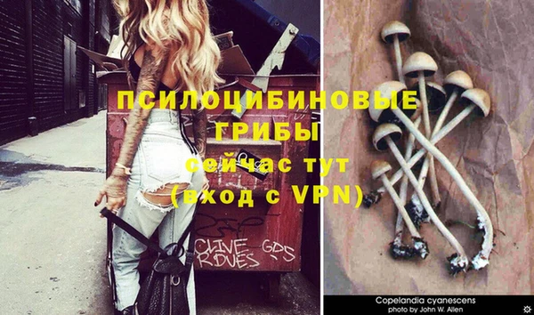 каннабис Балахна
