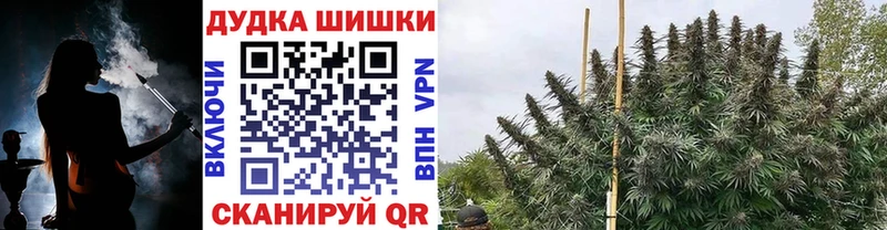 Бошки марихуана гибрид  Гудермес 